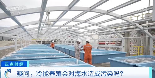 從陸地到海洋的藍(lán)色跨越 化工新材料驅(qū)動(dòng)綠色海洋牧場建設(shè)